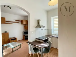 Pronájem bytu 1+1, České Budějovice, 30 m2