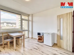 Pronájem bytu 1+kk, Litvínov - Horní Litvínov, Mostecká, 21 m2