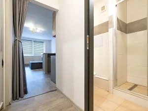 Prodej bytu 1+kk, České Budějovice, K. Chocholy, 30 m2