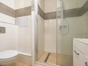 Prodej bytu 1+kk, České Budějovice, K. Chocholy, 30 m2