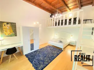 Pronájem bytu 1+1, Praha - Malá Strana, Újezd, 49 m2