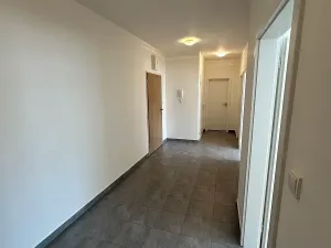 Pronájem bytu 3+kk, Kladno, Jaroslava Holečka, 65 m2
