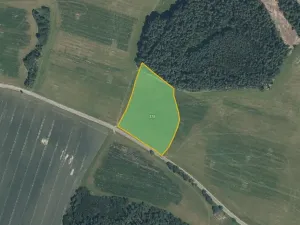 Prodej pole, Hostouň, 6903 m2