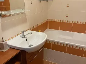 Pronájem bytu 1+kk, Olomouc, Mošnerova, 40 m2