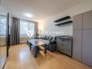 Prodej bytu 1+1, Ivančice, Luční, 36 m2