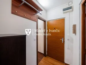 Prodej bytu 1+1, Ivančice, Luční, 36 m2