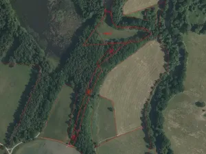 Dražba louky, Novosedly nad Nežárkou, 15643 m2