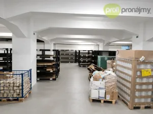 Pronájem obchodního prostoru, Ostrava, Cihelní, 587 m2