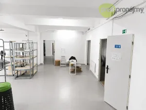 Pronájem skladu, Ostrava, Cihelní, 587 m2