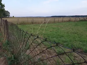 Prodej pozemku pro bydlení, Nový Bydžov, 726 m2