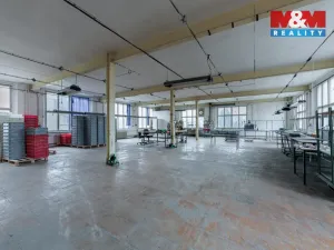 Pronájem výrobních prostor, Aš, Kotkova, 416 m2