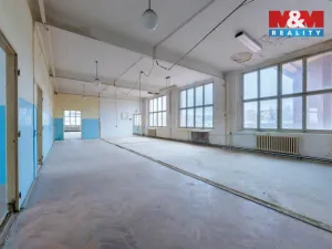 Pronájem výrobních prostor, Aš, Kotkova, 416 m2
