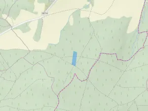 Prodej lesa, Kolinec - Buršice, 5195 m2