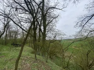 Prodej pozemku, Štětí - Brocno, 1107 m2