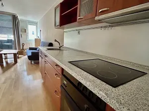 Pronájem bytu 1+kk, Praha - Letňany, Chotěšovská, 37 m2