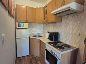 Prodej bytu 1+kk, Beroun - Beroun-Město, Nad Paloučkem, 36 m2