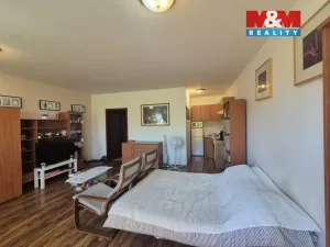 Prodej bytu 1+kk, Beroun - Beroun-Město, Nad Paloučkem, 36 m2