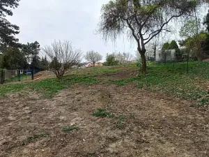 Prodej pozemku pro bydlení, Větrušice, Úzká, 810 m2