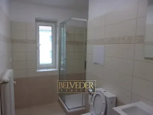 Pronájem bytu 3+1, Ústí nad Labem, Sociální péče, 65 m2