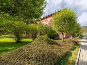 Prodej bytu 2+1, Blansko, Družstevní, 59 m2