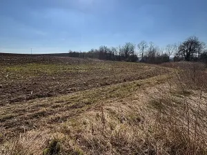 Prodej pozemku pro bydlení, Velká Bukovina, 2530 m2