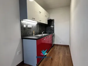 Pronájem bytu 1+kk, Teplice, Krušnohorská, 34 m2
