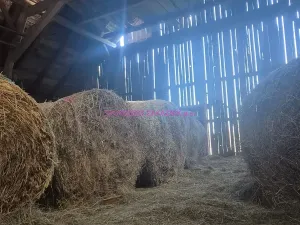 Prodej rodinného domu, Šluknov, 88 m2