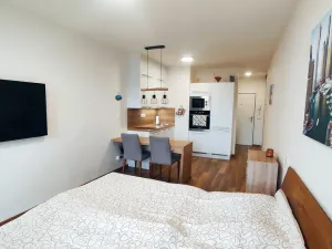 Pronájem bytu 1+kk, Olomouc, Šantova, 28 m2