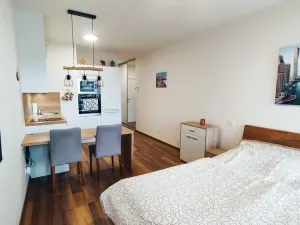 Pronájem bytu 1+kk, Olomouc, Šantova, 28 m2