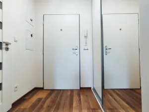 Pronájem bytu 1+kk, Olomouc, Šantova, 28 m2