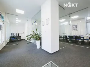 Pronájem kanceláře, Brno, Křídlovická, 115 m2