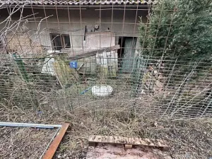 Dražba - jiné, Kostelec, 662 m2