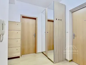 Pronájem bytu 1+kk, Praha - Libeň, Budilova, 41 m2