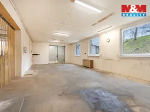 Pronájem výrobních prostor, Domažlice - Bezděkovské Předměstí, Masarykova, 770 m2
