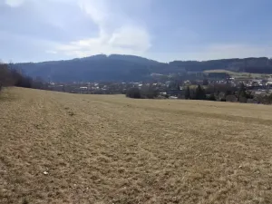 Prodej louky, Ústí nad Orlicí - Kerhartice, 49647 m2