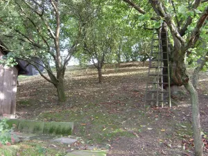 Prodej domu, Vysoké Mýto, 34 m2