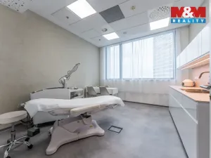 Pronájem komerční nemovitosti, Praha, Jihlavská, 30 m2