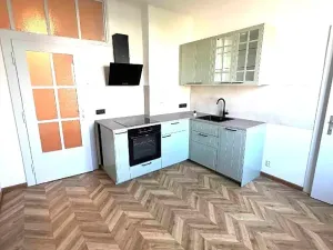 Prodej bytu 1+1, Praha - Nusle, Hvězdova, 49 m2