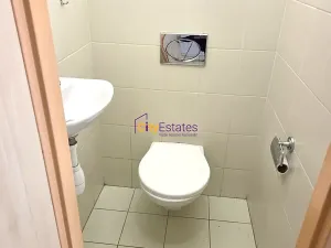 Pronájem bytu 1+1, České Budějovice, Dr. Stejskala, 59 m2