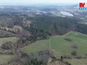 Prodej lesa, Mrákotín, 7873 m2