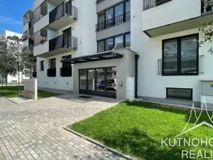 Pronájem bytu 1+kk, Poděbrady, Vrchlického, 33 m2