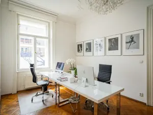 Pronájem bytu 5+1, Praha - Staré Město, Na Perštýně, 197 m2