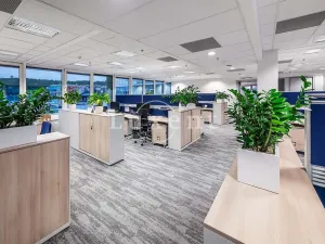Pronájem kanceláře, Praha, Radlická, 430 m2