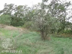 Dražba pozemku, Žatec, 264996 m2