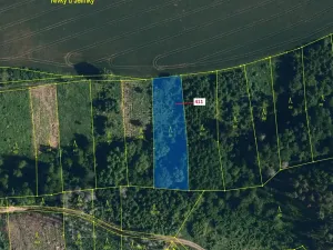 Dražba lesa, Chotěbudice, 1979 m2