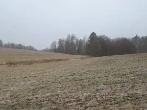 Dražba rodinného domu, Teplýšovice, 563 m2