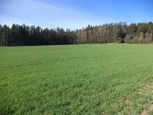 Dražba louky, Okrouhlá Radouň, 17482 m2