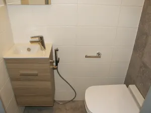 Pronájem bytu 2+1, Plzeň, Zelenohorská, 57 m2