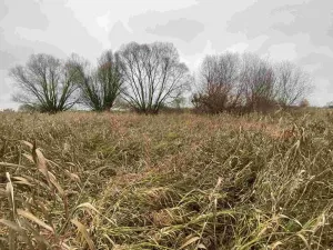 Prodej pozemku, Křenovice, 4103 m2