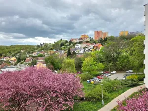 Prodej bytu 1+kk, Brno, Žebětínská, 31 m2